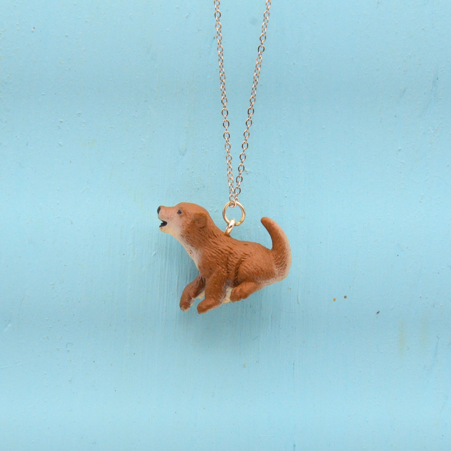 Halsband hund
