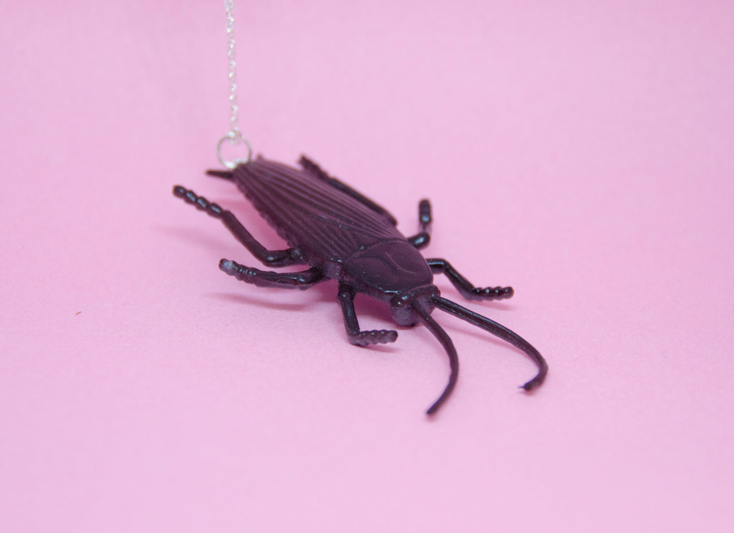 Halsband insekt kackerlacka