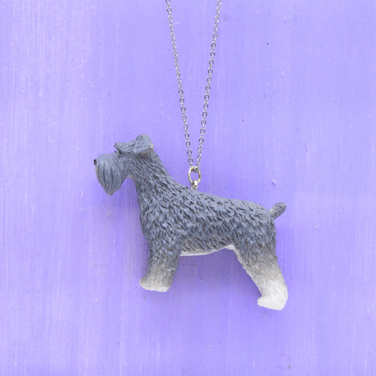 Halsband schnauzer hund
