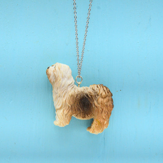 Halsband hund