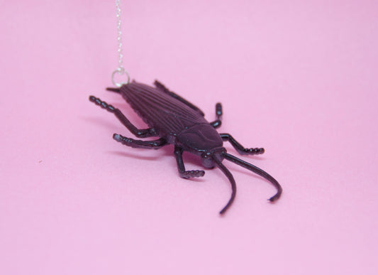 Halsband insekt kackerlacka
